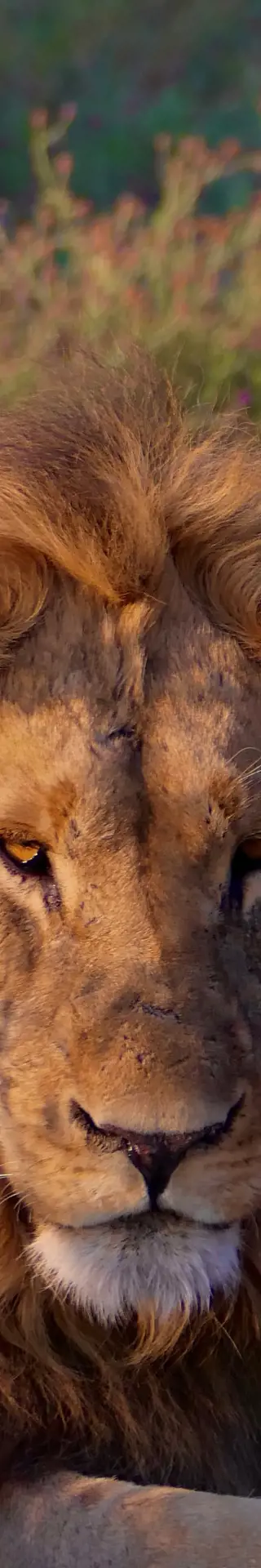 «Ich hab' die Haare schön»